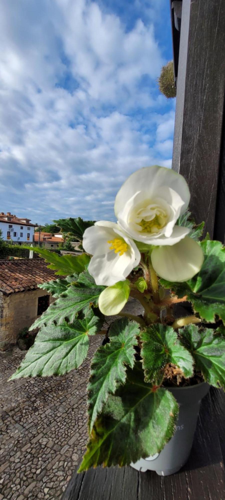 Appartamento Casa Del Lavadero Santillana del Mar Esterno foto